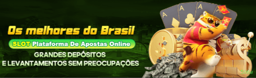 Controles de paJogonto e BRL em 506w